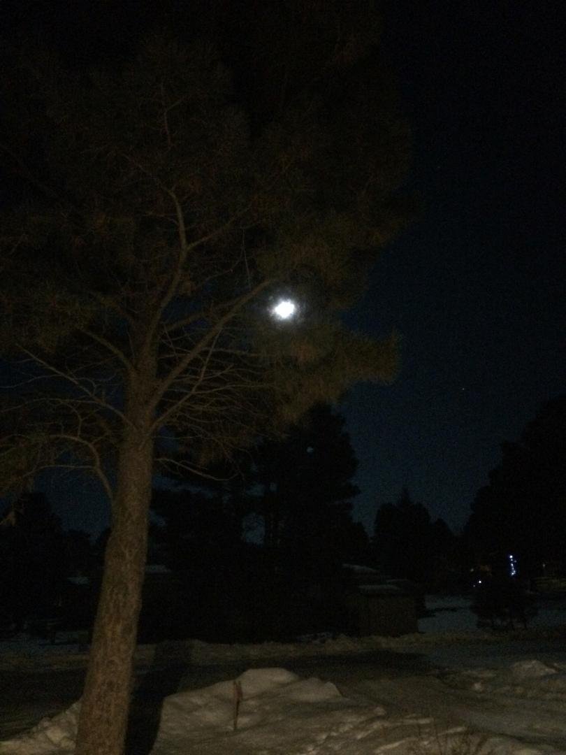 The moon last night as I was grilling my steak.
