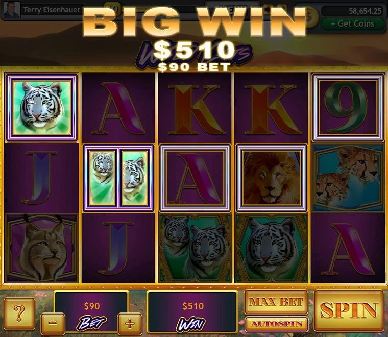 Terry Eisenhauer's album, Lucky Slots Photos