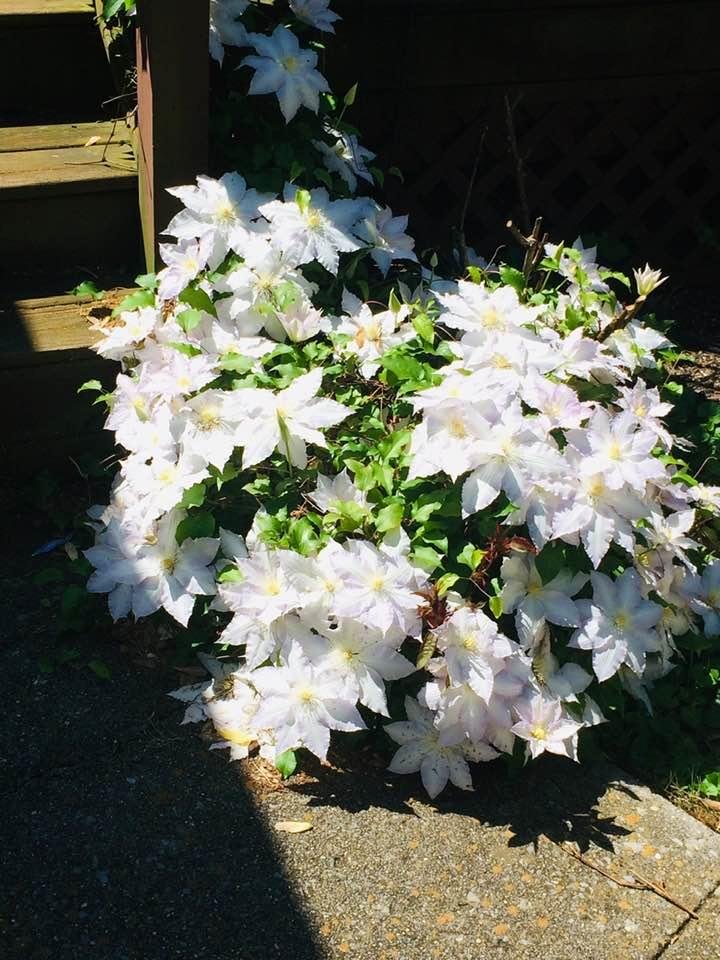 John Andrews' album, Timeline Photos
