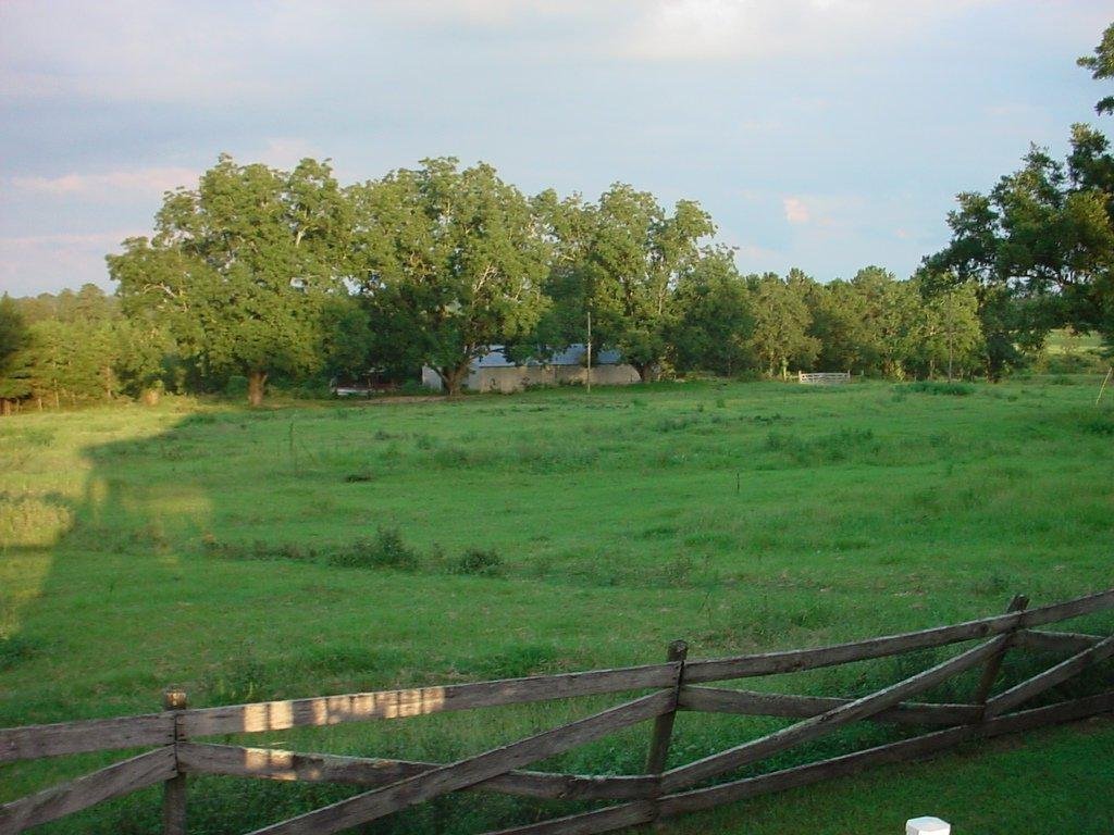James Hatcher's album, Horses