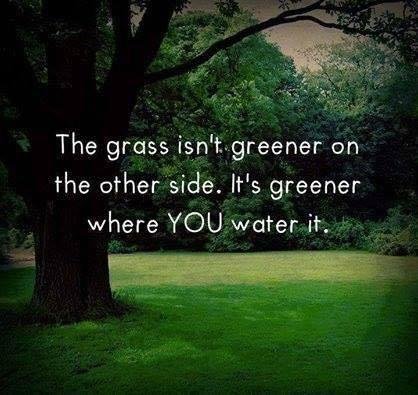 Joyce McLaughlin's album, Timeline photos