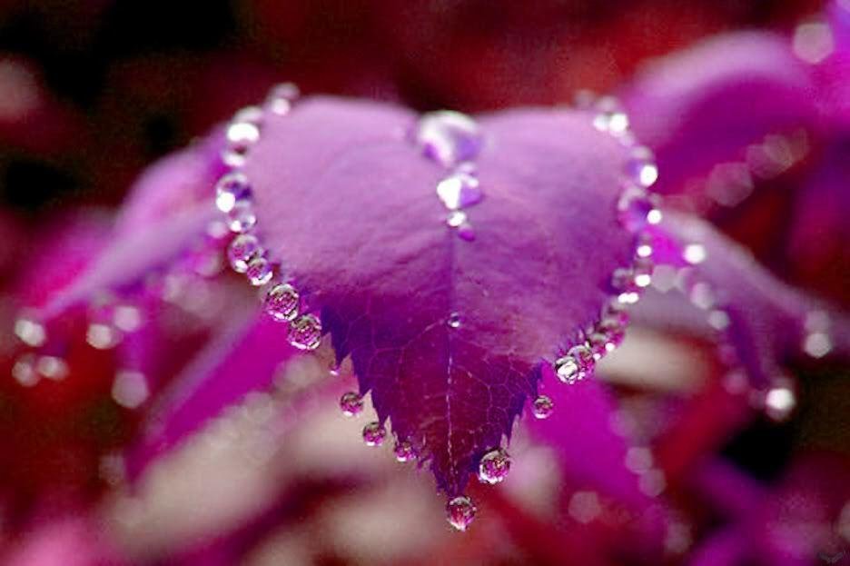 This is a true crying heart !