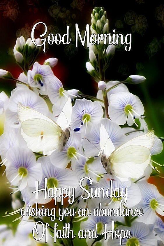 Have a Blessed Sunday