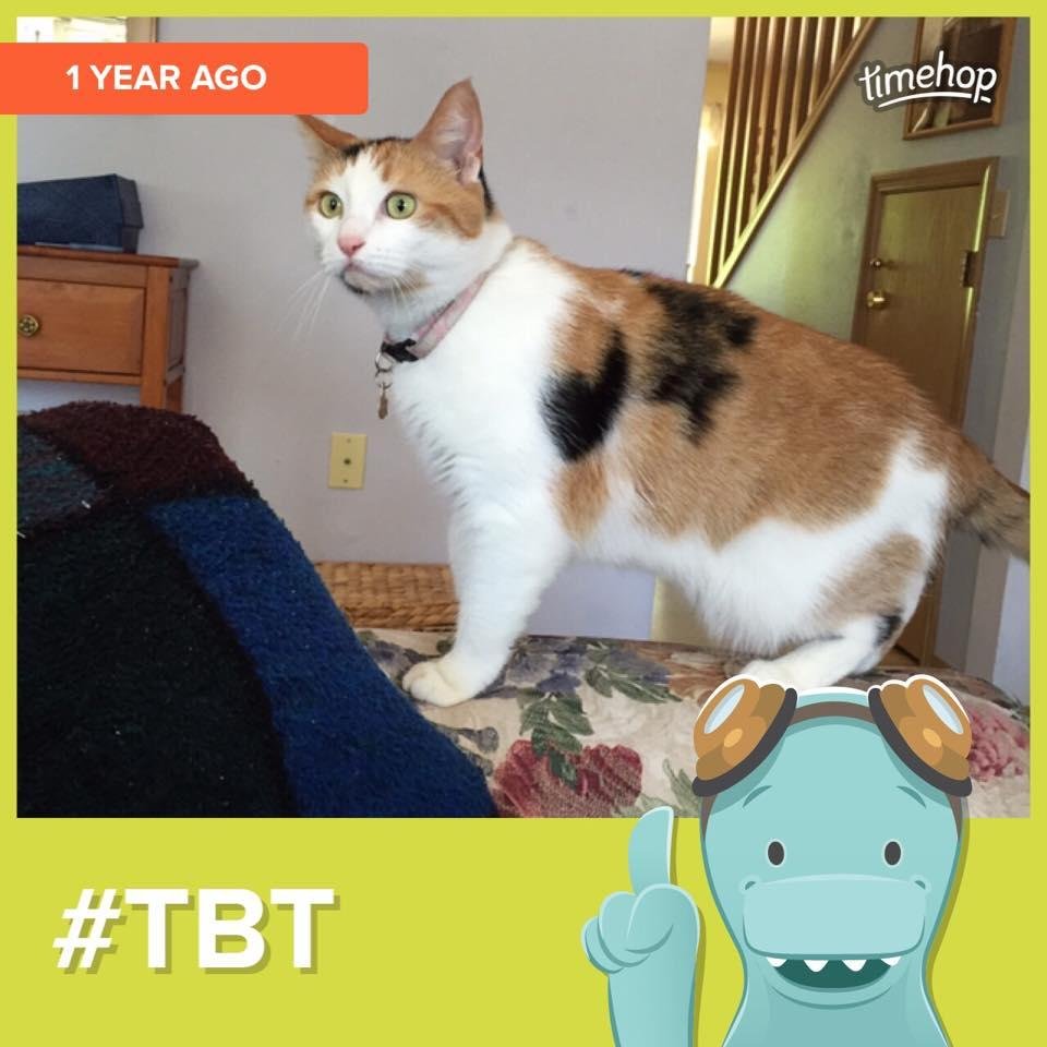 A year ago she was keeping me company