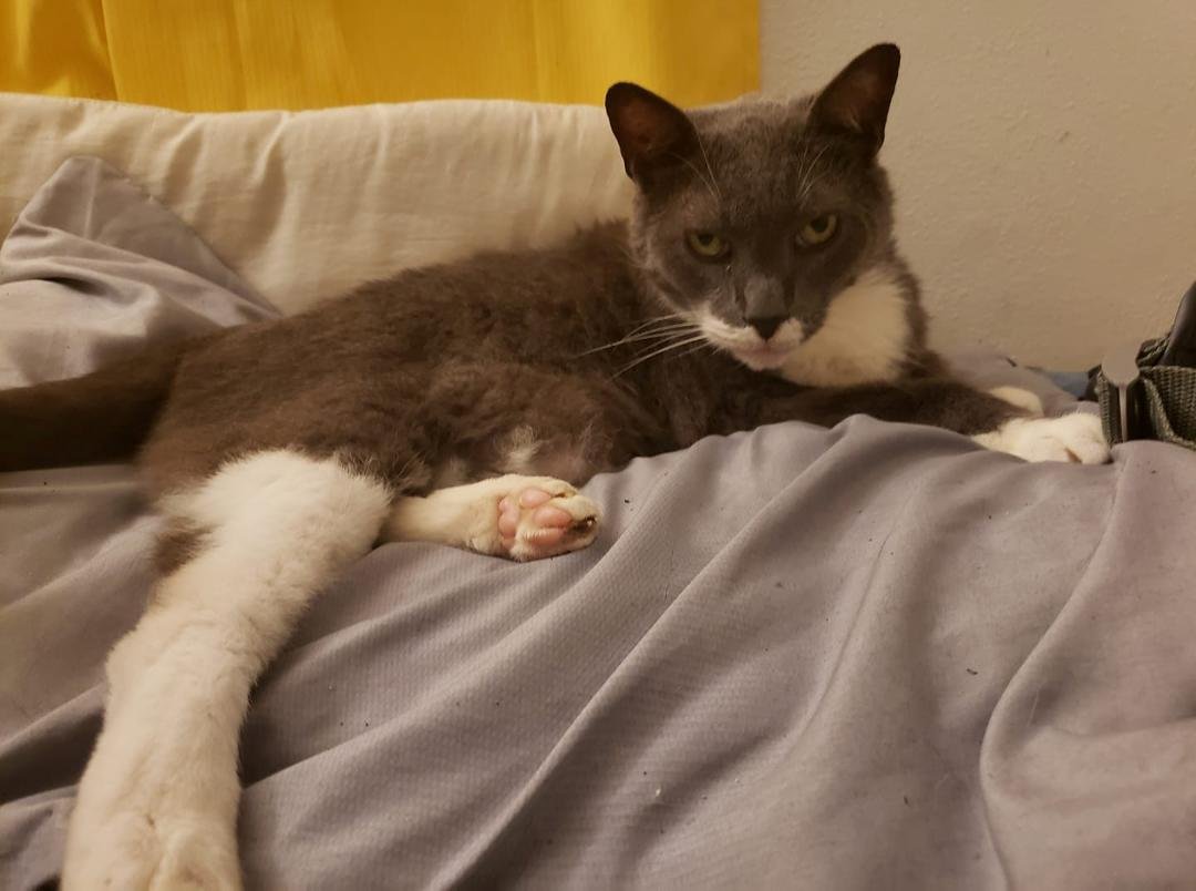 What are you looking at?