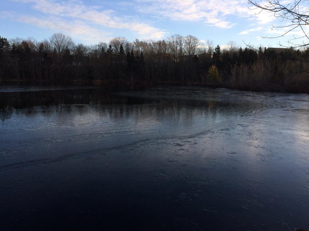 Donald Murray's album, Timeline Photos