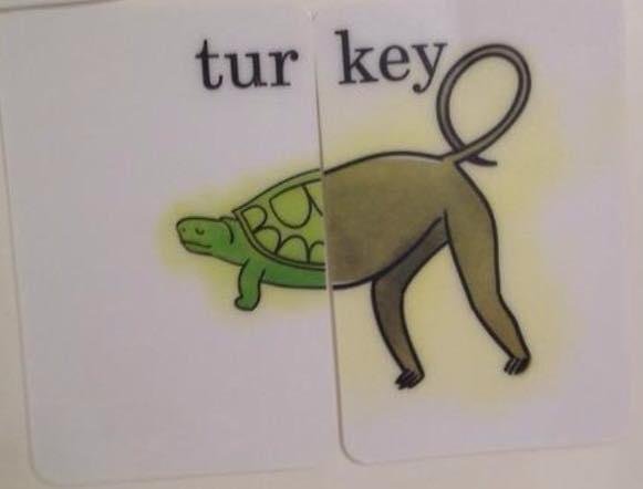 It's a turtle🐢 and a donkey🐴
