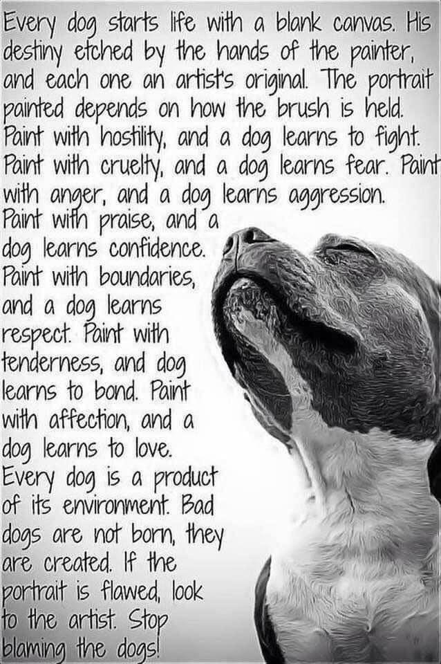 Gail Baldwin's album, Timeline photos