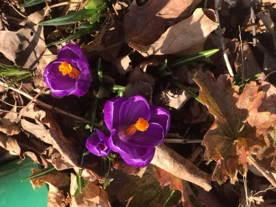 Jerome Lensing's album, Mobile uploads