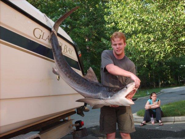 Johnny caught this tiger shark on fathers day
