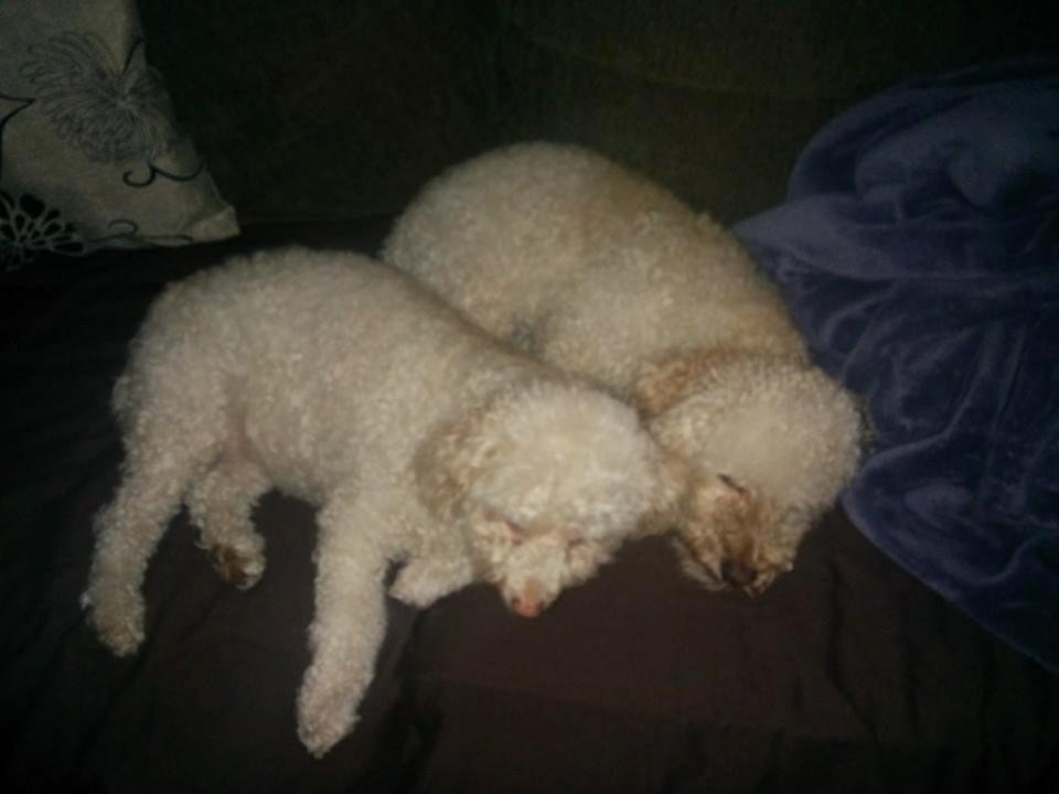 Mother and son. My babies.