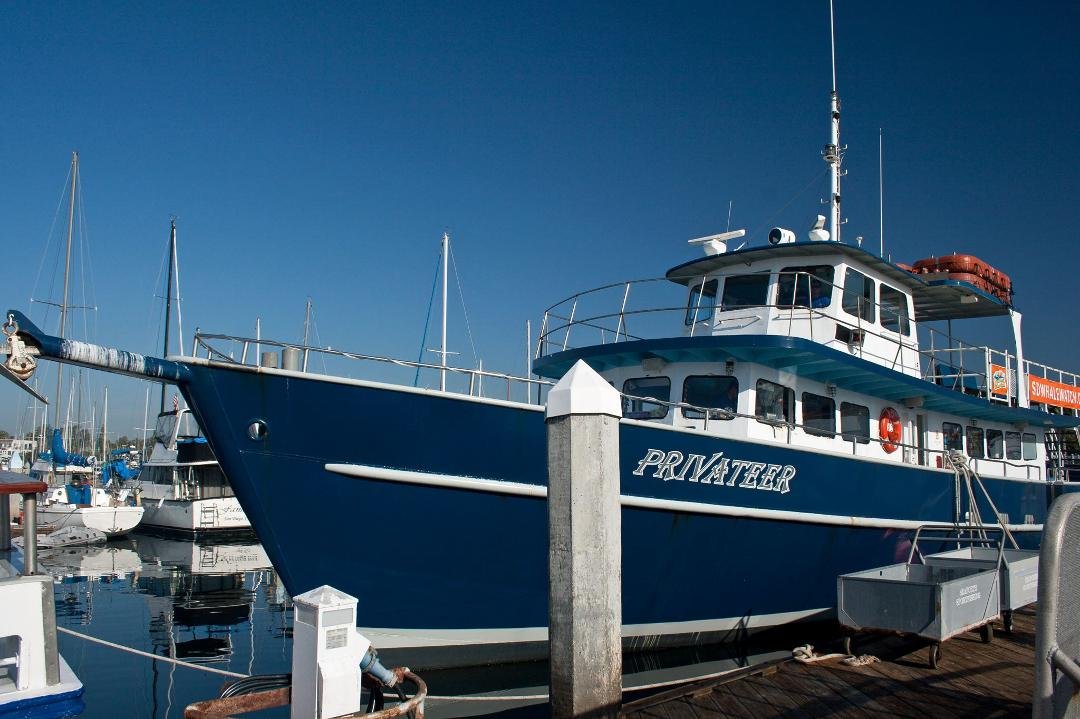 Somehow we picked the first day out of the season when the crew could not find a whale, or even a dolphin. Fog was thick on the ocean and it didn't burn off. It was a nice ride and the owner made good on his guarantee. Ever