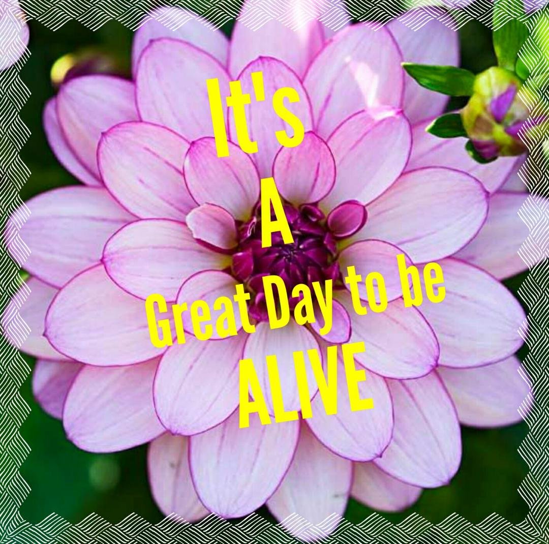 Happy Saturday!!!