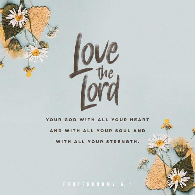 Mike Deridder's album, Timeline Photos