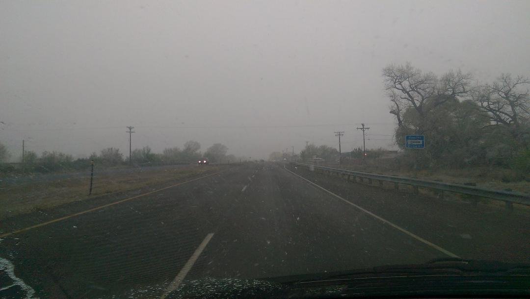 I thought it was Spring!