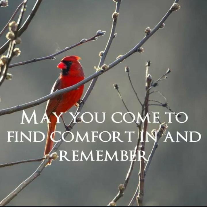 Patricia Taylor's album, Timeline Photos