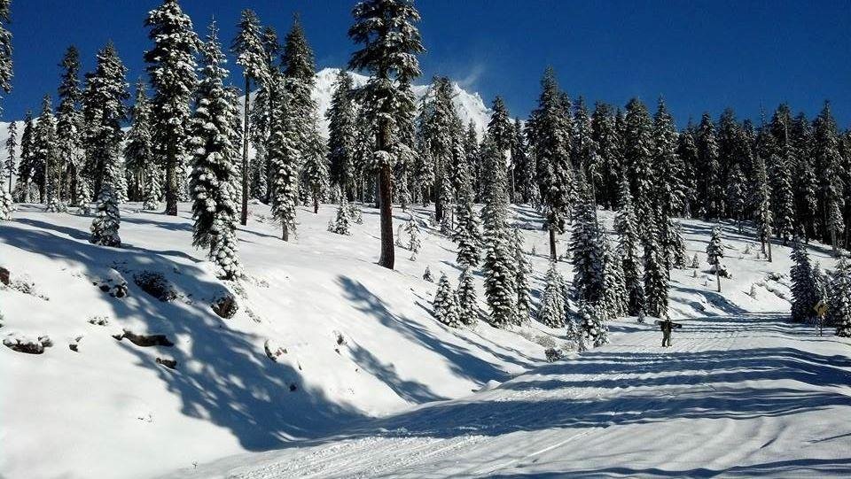 Snow shoeing at Mt Shasta