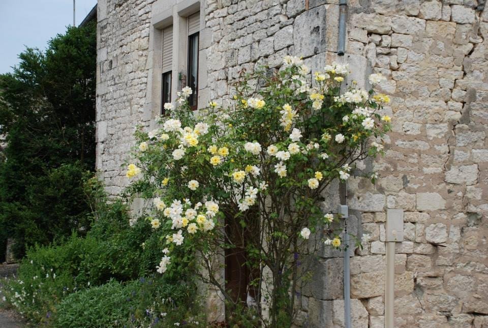 Michael Wiley's album, Montdoumerc, France