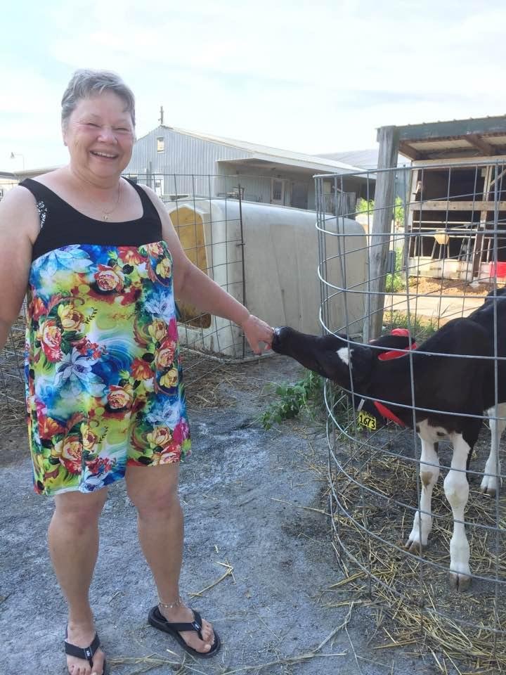 Just love cows