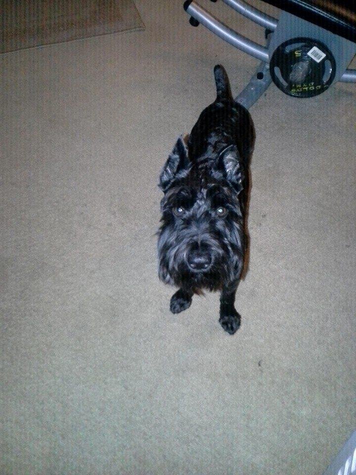 My baby