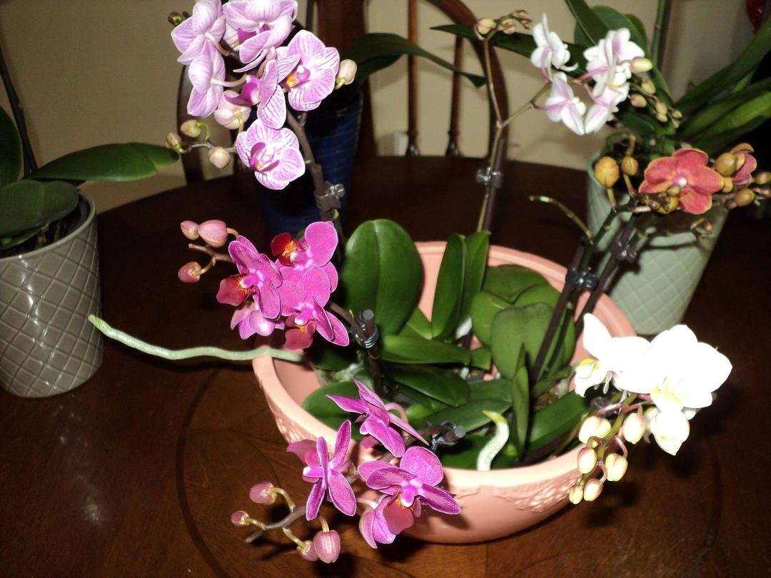 April Hofmann's album, Timeline Photos