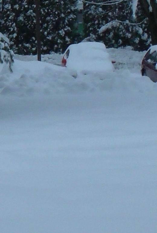 that's my snowed in car. I can't even get in it to run the motor. Can't get to it either.