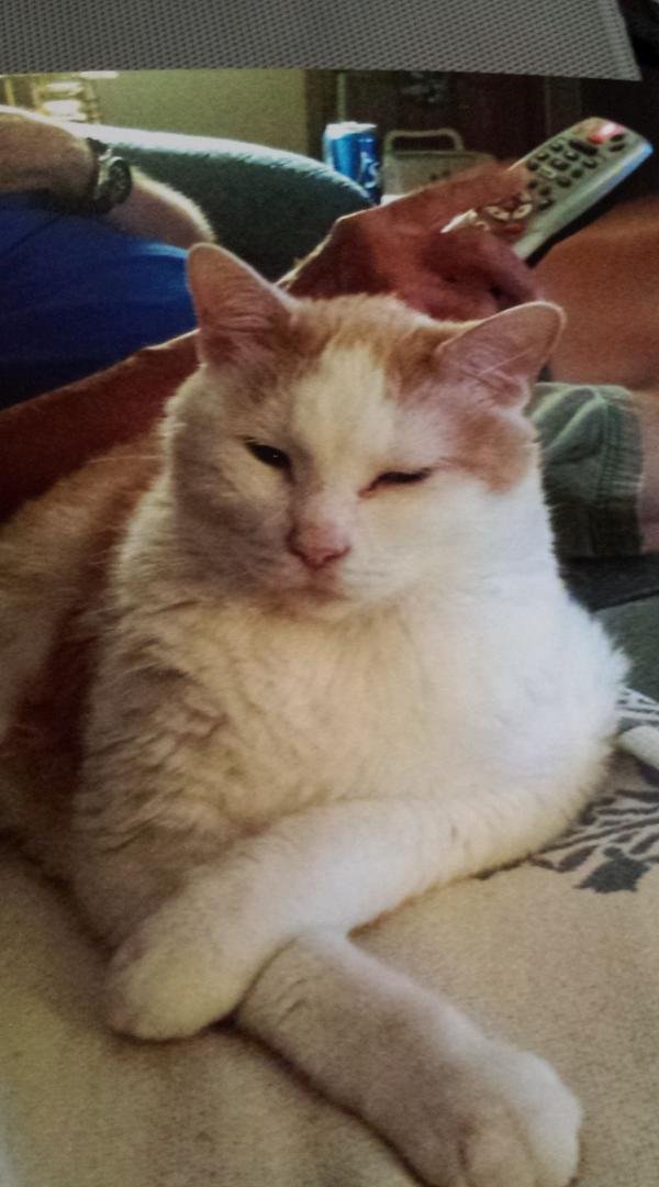 Colby "Bubba" we will miss you and love you so much. You crossed over the Rainbow bridge today and now enjoying the sunshine.