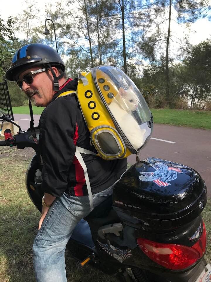 It was a magic day, so I took the cat for a bike ride!
