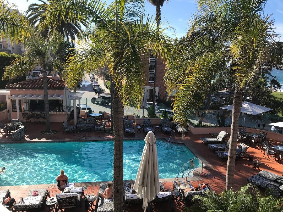 I'm a stoic but even so it's good to have some pleasure now and then so we three flew away to San Diego. Amazing to leave cold rainy New York and a few hours later walk along the ocean, smell the salt air, see the pelicans