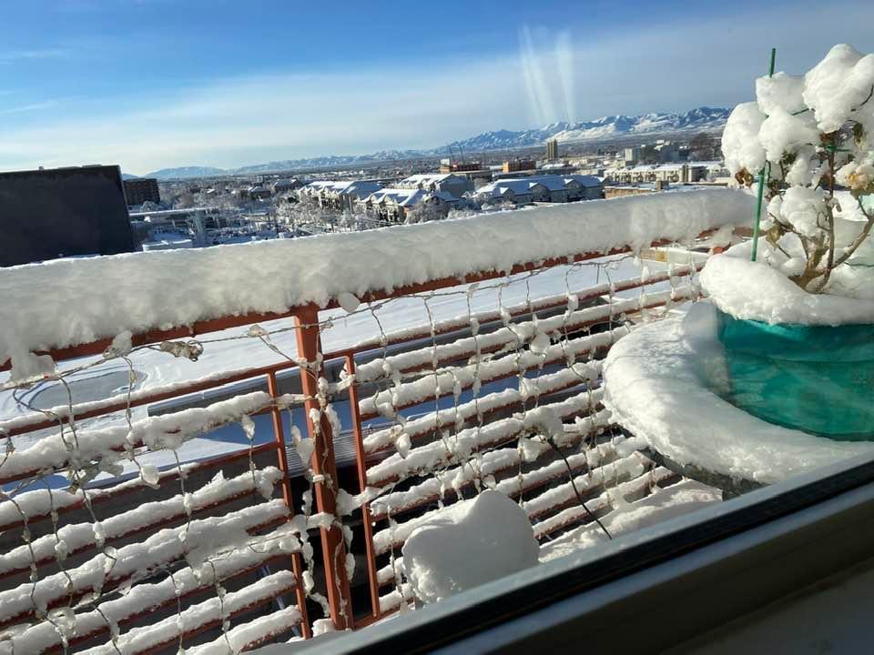 Winter out our back window. (Our only window.)