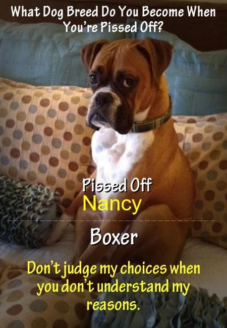 Nancy Sheffield's album, Timeline Photos
