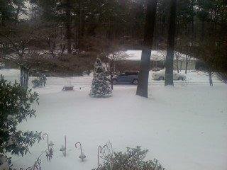 Snow Day 2011