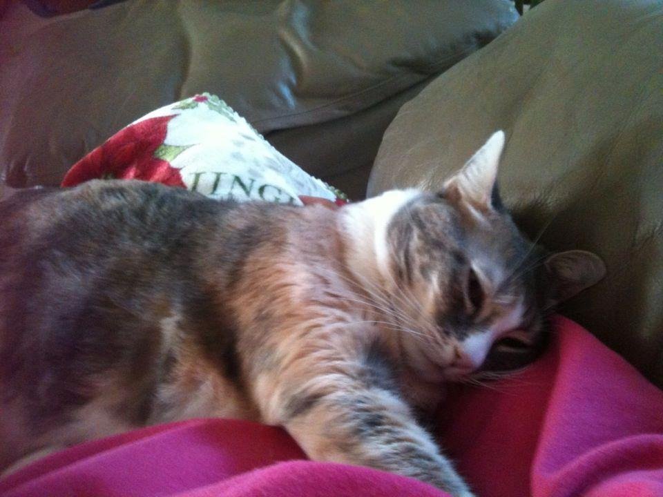 My Angel getting spoiled, or should I say she is spoiling me?