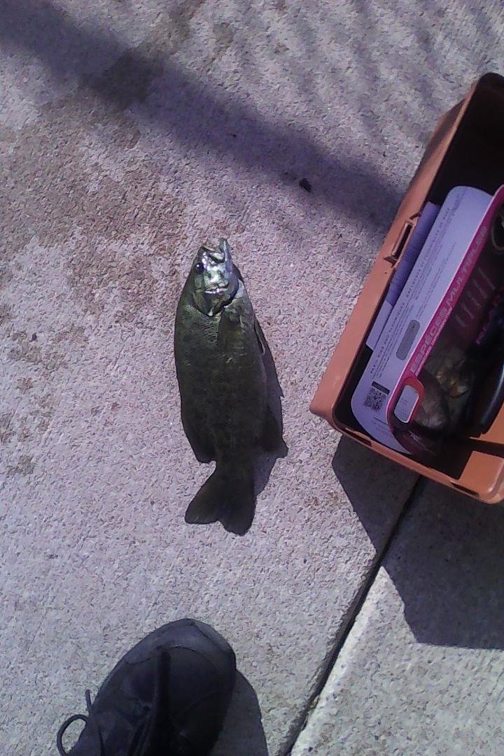 First pokyman of this year