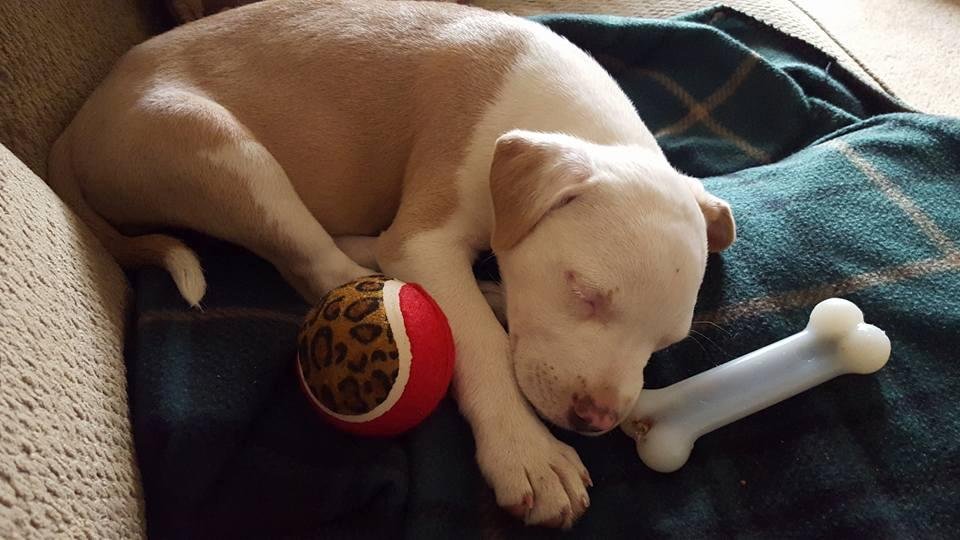Nova her first day with us