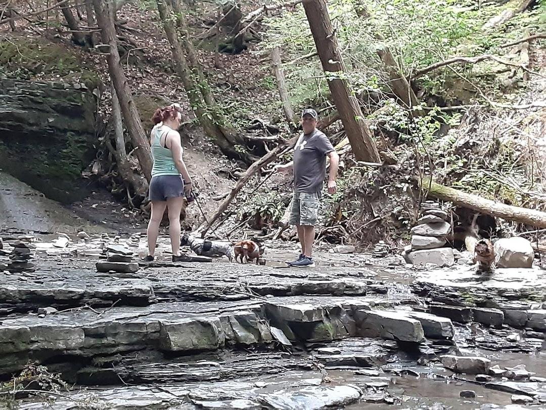 Took the wieners on an adventure.