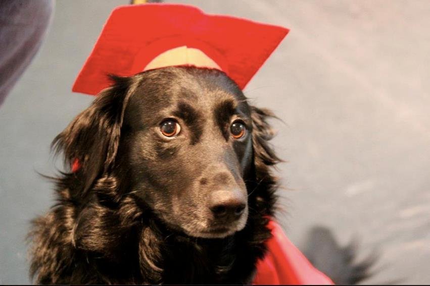 Mariah graduated from her first training course.