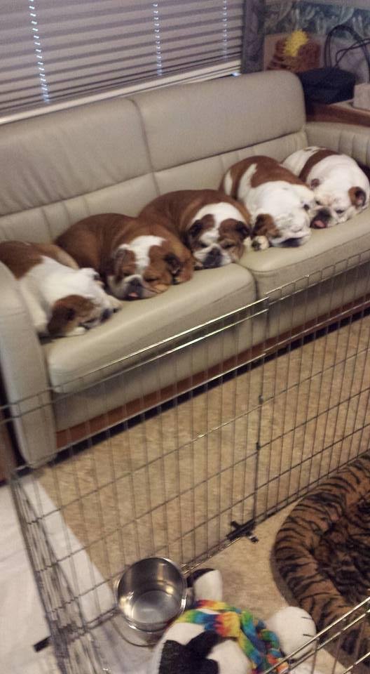 The girls settled in for morning nap in RV.
