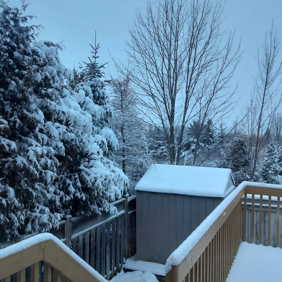 Merry Christmas Buon Natale from Winter Wonderland