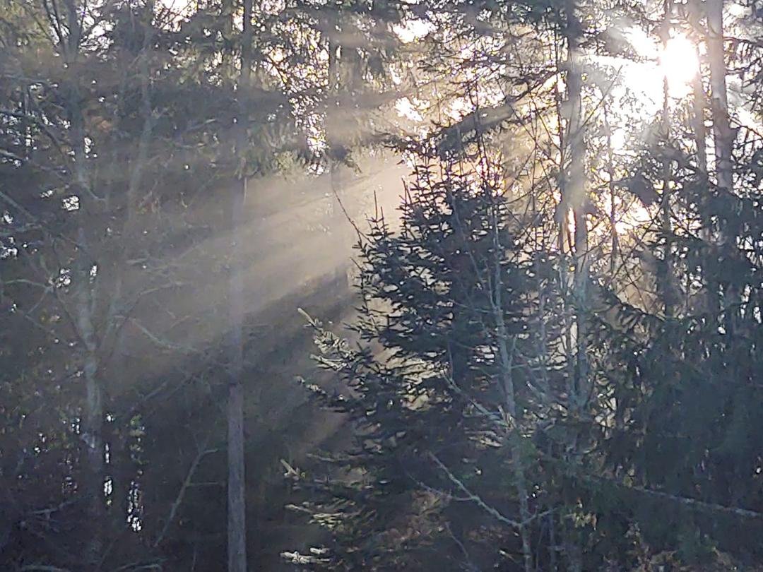 Chilly this morn, but old sol bringing back the warmth to the ground. Thank you Almighty Father!