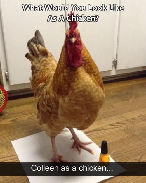 Oh no! Looks like I ‘d make a nice chicken for KFC!