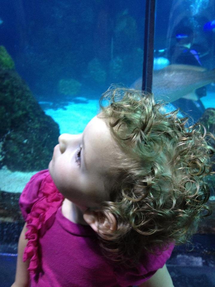 A happy weekend with Addison. The aquarium and the joy of the Easter Bunny!