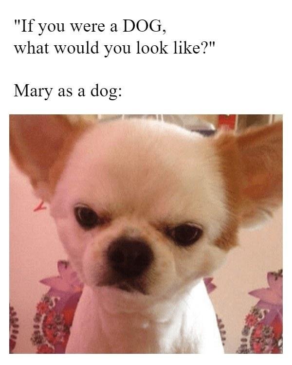 Look at that face!