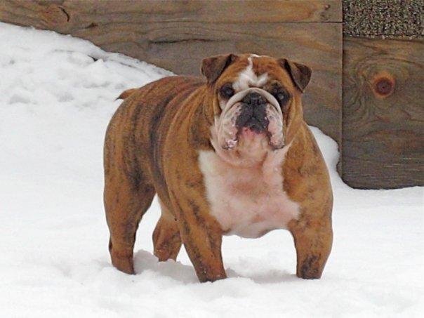 Roscoe