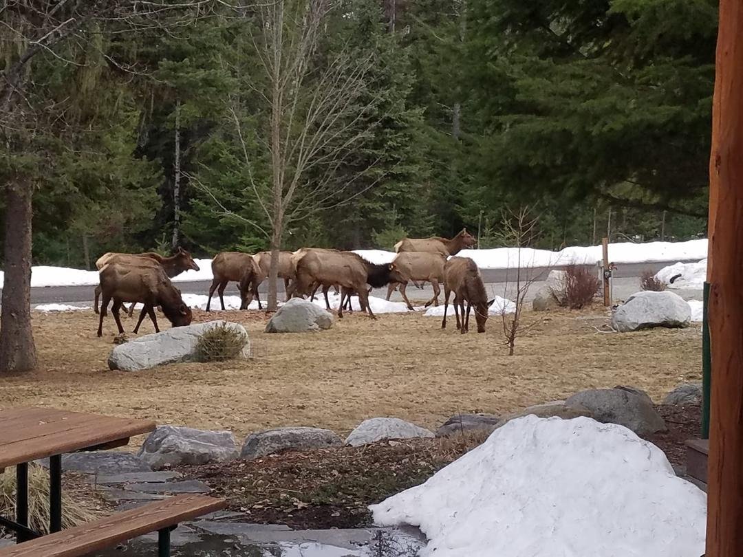 11 of our friends came by this evening..