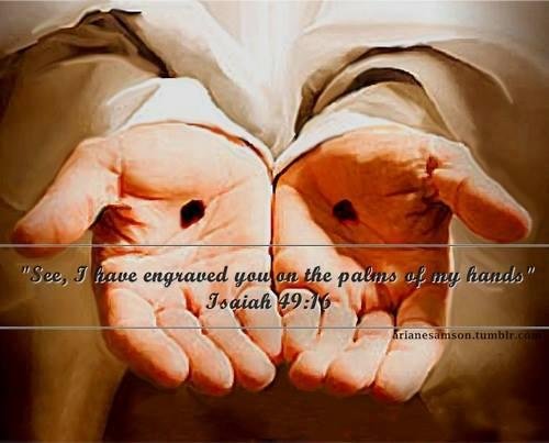 Denise Donardt's album, Timeline Photos