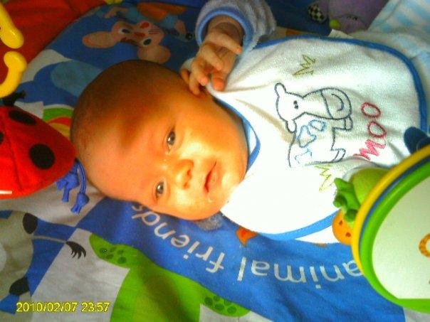cade