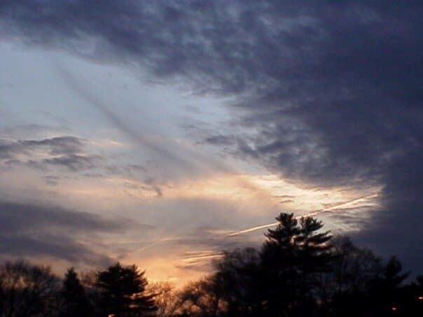 Lee Sousa's album, Mobile Uploads