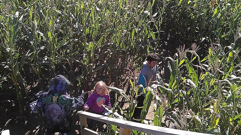 Meanwhile somewhere in the maze...