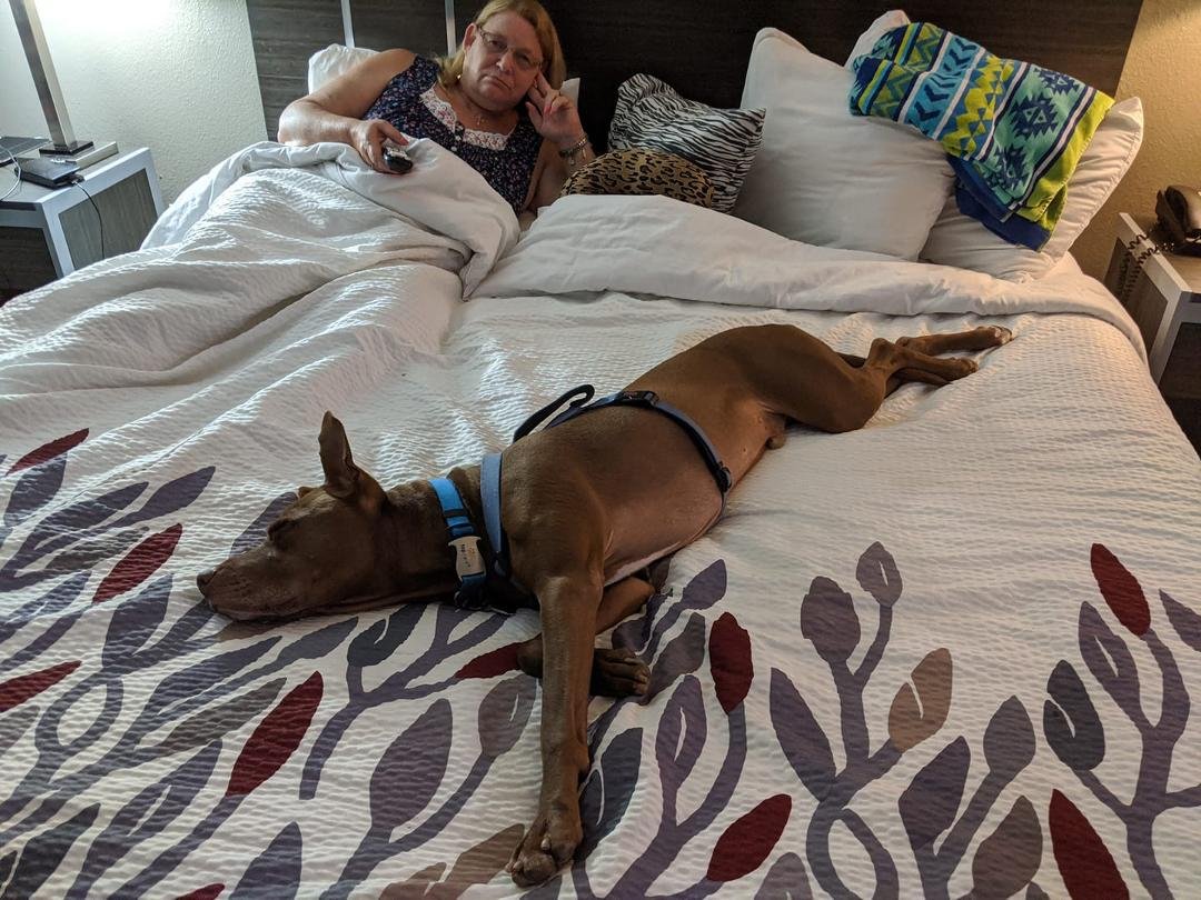 Guess I get to sleep in the crate tonight they hogged the bed again. No room for me.